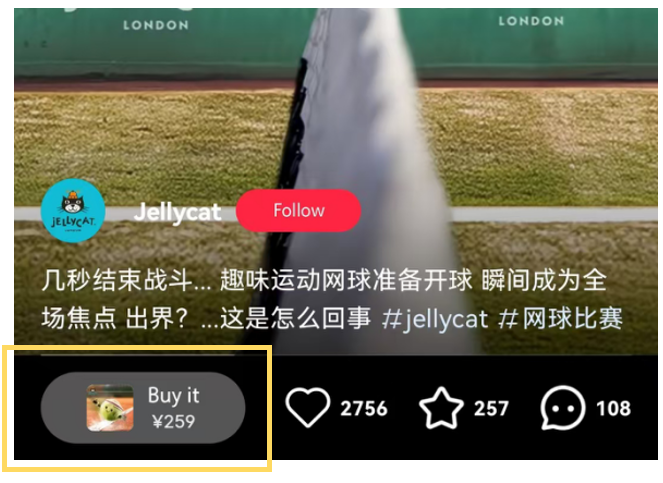 图12 小红书的Jellycat主页