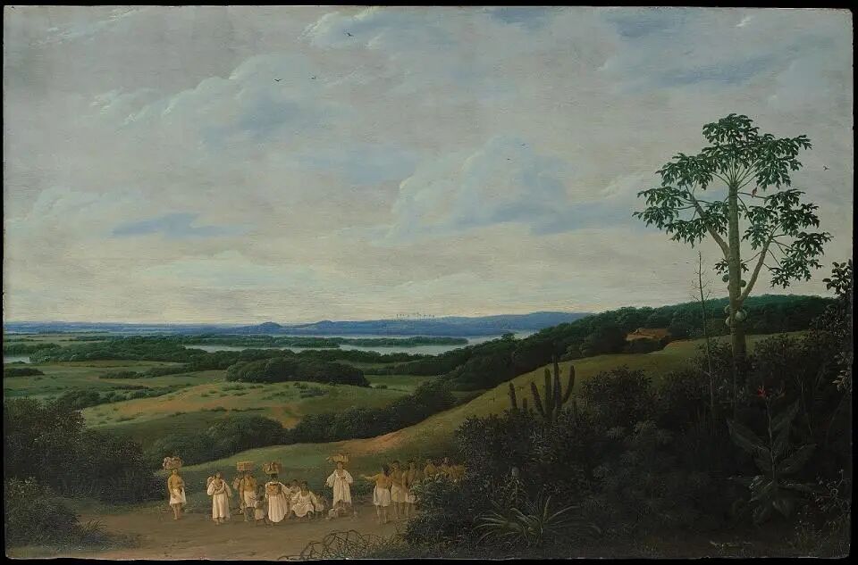 弗兰斯·波斯特(Frans Post)的木板油画《巴西风光》